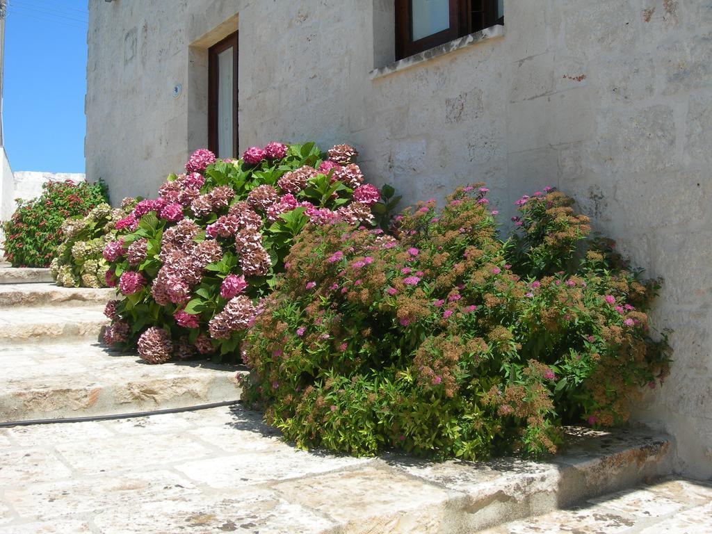 Masseria Montecchie Apartment Ceglie Messapica Exterior photo