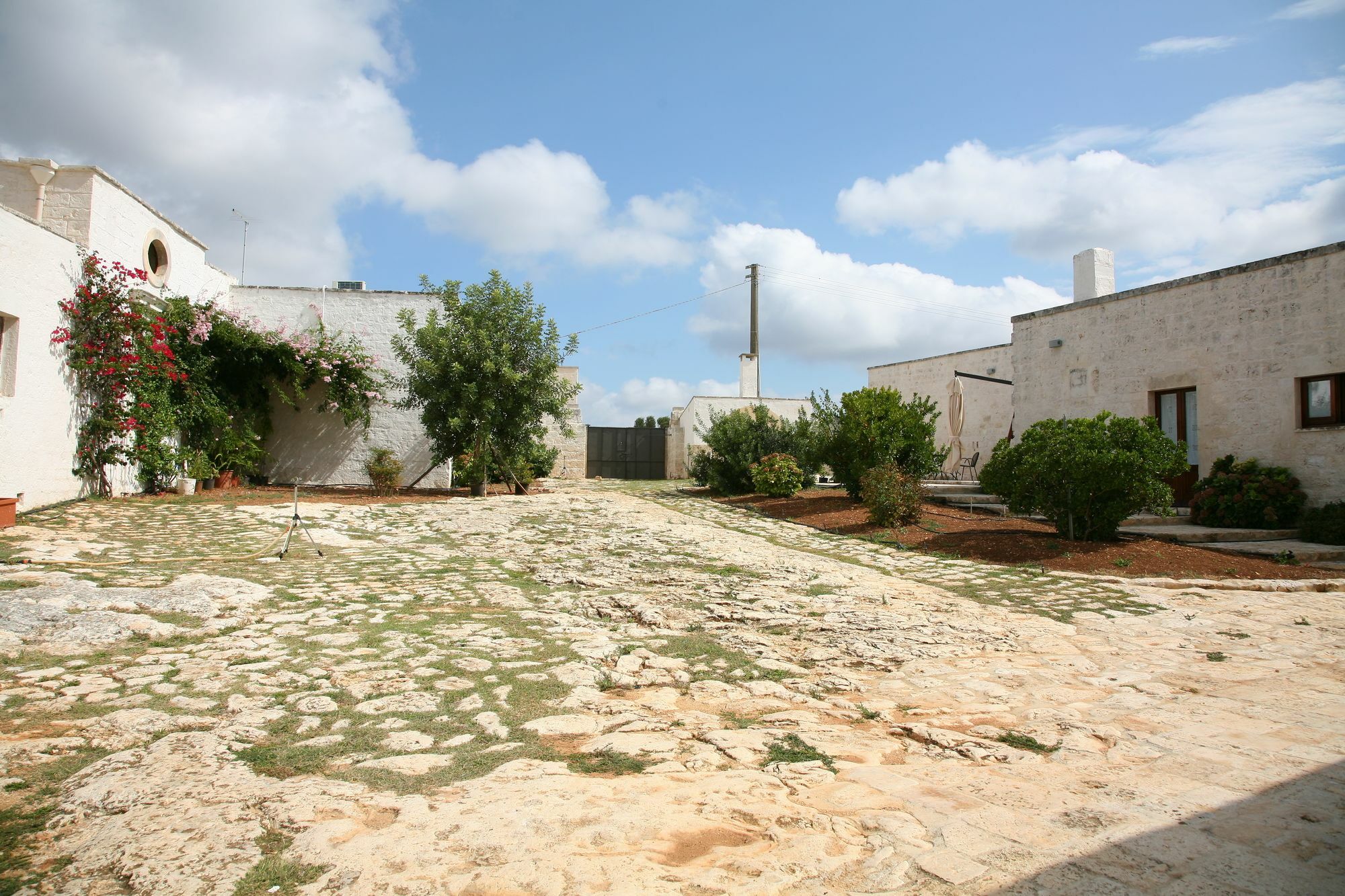 Masseria Montecchie Apartment Ceglie Messapica Exterior photo